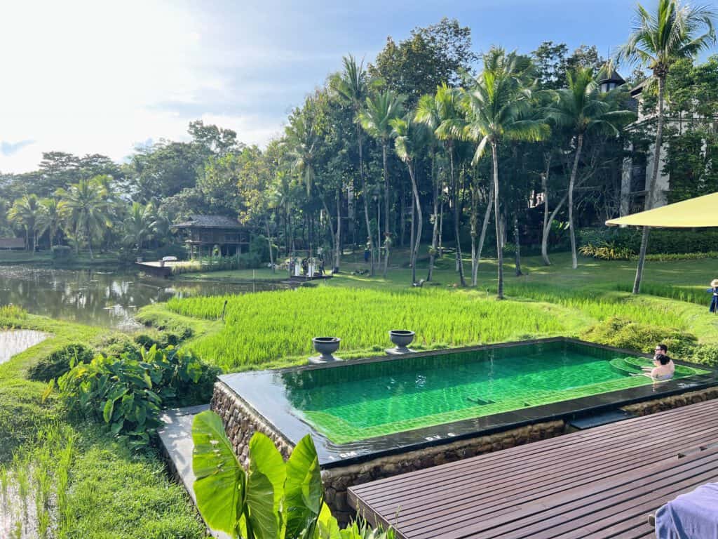 Swimming pool Four Seasons