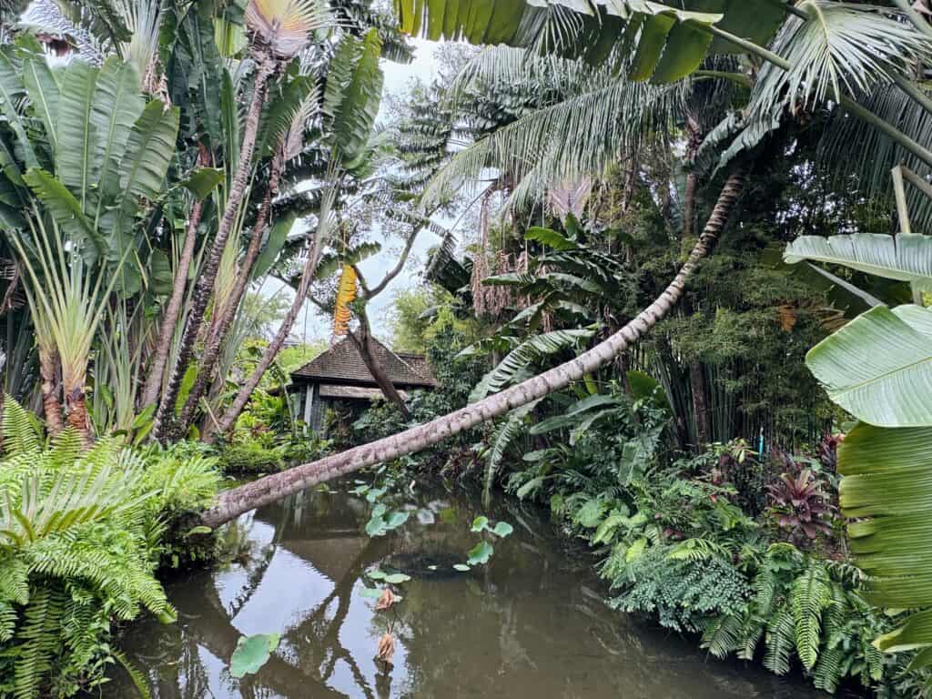Tropical garden with water feature at Anantara Mai Khao Phuket surrounded by palm trees.